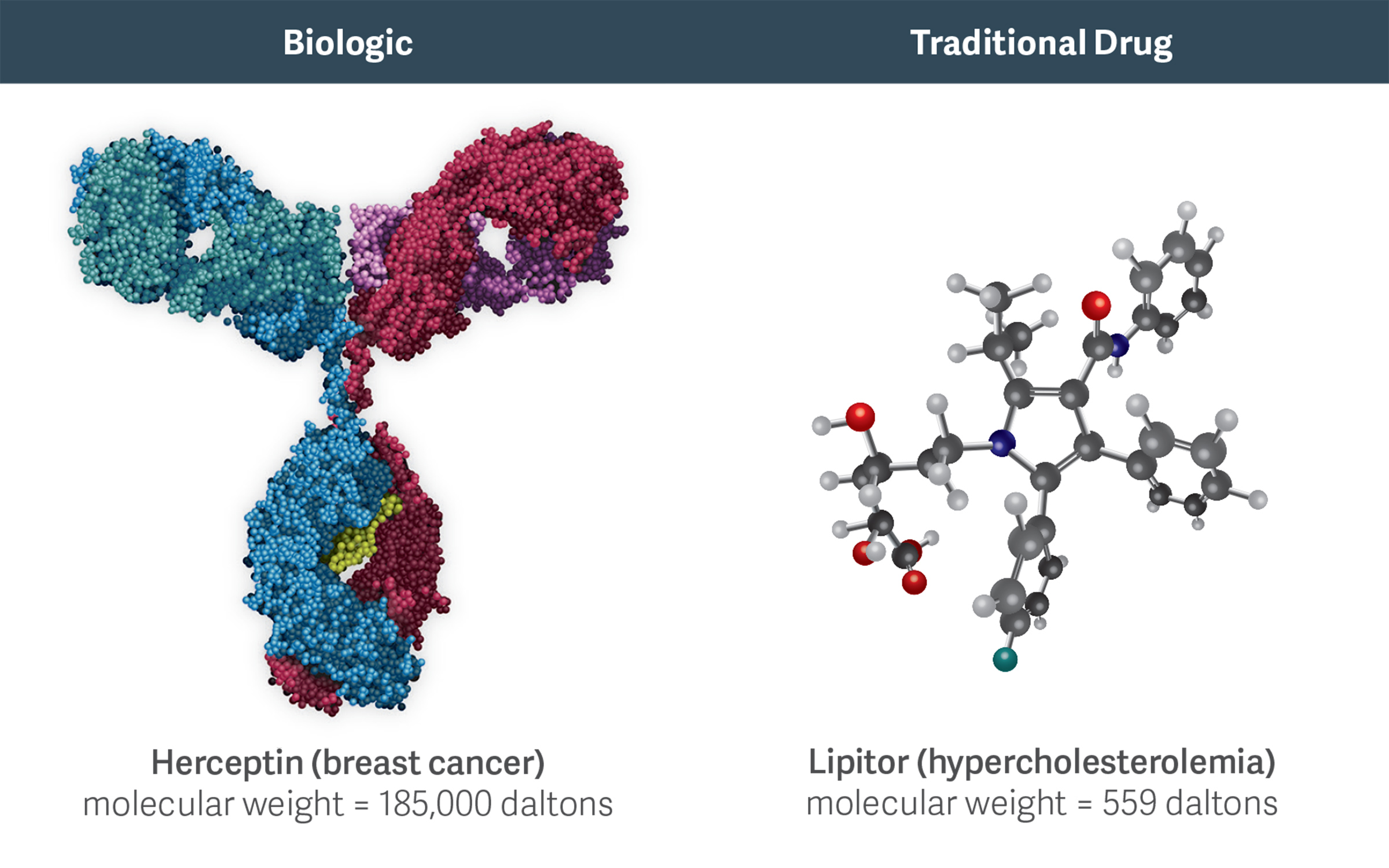 Biologic molecules