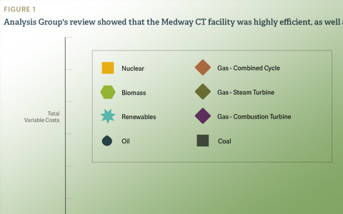 Performance and Economic Analyses to Support the Siting Approval of a New Natural Gas Peaker Plant