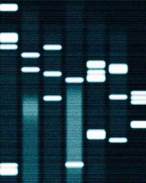 Diagnostics and Next-Generation Genetic Sequencing