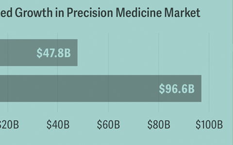 Bringing Precision Medicine to Market